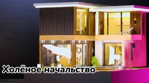 Про Холёное Начальство!!!