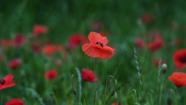 Прогноз на 15 августа. Новые дороги.