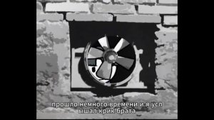 Моего дедушку загрызли домашние козы и перед смертью он сказал мне держаться от них подальше...