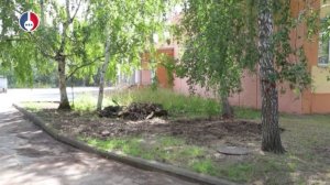 Благоустройство территории Лицея 56 к новому учебному году