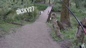 ПРОГУЛКА ПО РОДНОЙ РЕЧКЕ!!! СТРАШНЫЙ ЗВЕРЬ, КОТОРЫЙ МЕНЯ ПРЕСЛЕДОВАЛ!!!