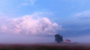 Успокаивающая музыка для релаксации и сна — нежные мелодии для отдыха, снятия стресса и гармонии