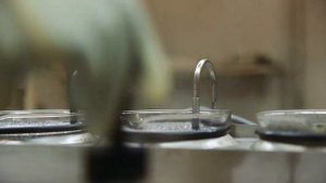 Тонированные линзы Tokai для очков с диоптриями