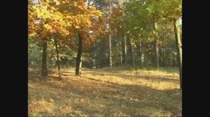Ивановский край (исполняет Валентина Толкунова)