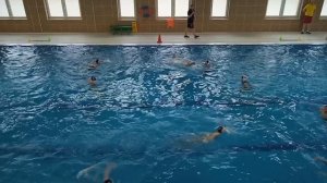 Торпедо водное поло waterpolo team