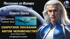 ✨ Послание от Валира из Плеядеанского Совета Света: Секретное послание китов человечеству