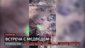 Встреча с медведем: как уберечься от опасности? Новости. 15/08/2025. GuberniaTV