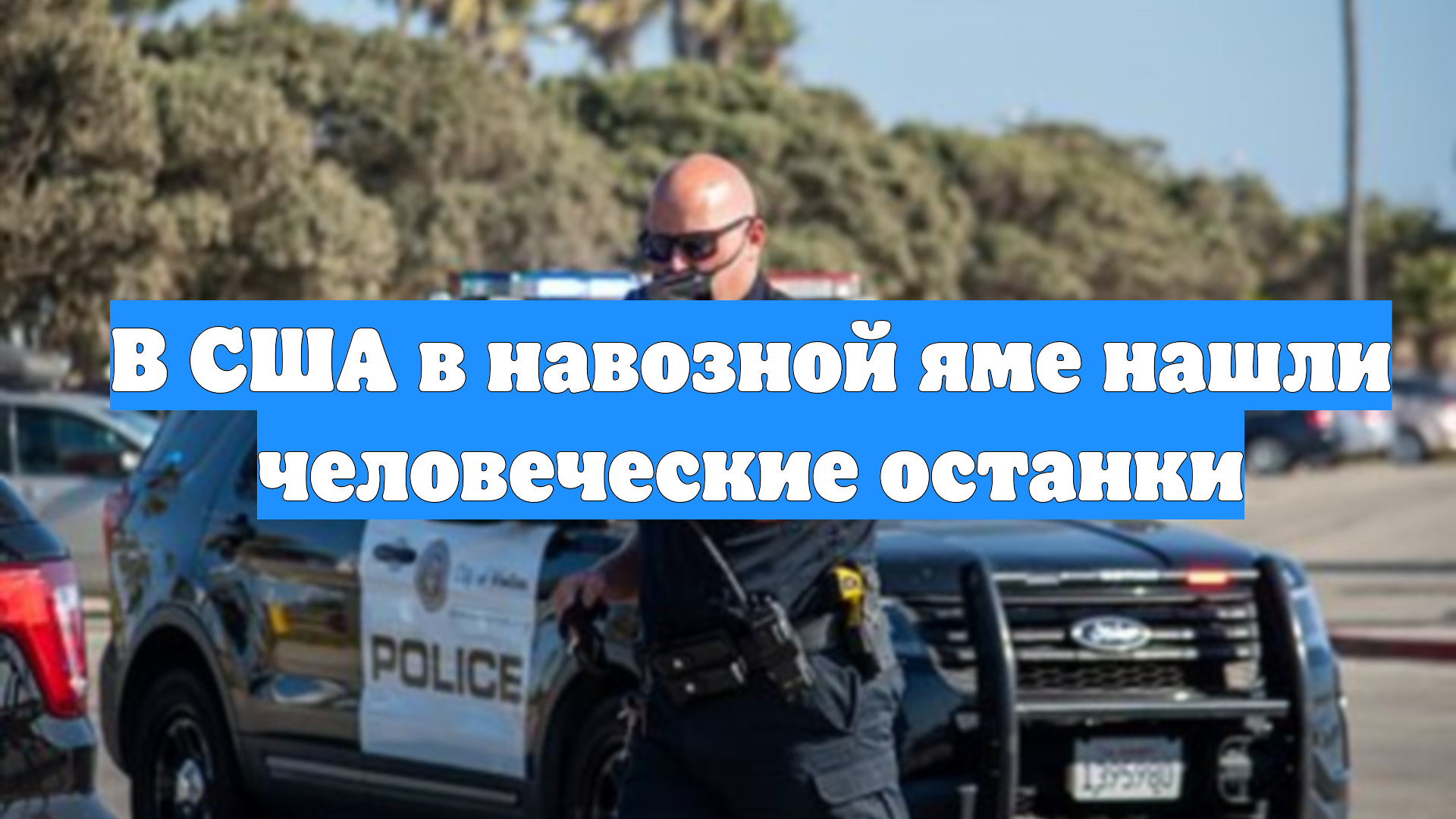 В США в навозной яме нашли человеческие останки