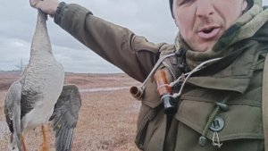 весенняя охота на гуся в Коми 2025. вторая часть