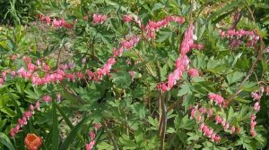 Ветер перемен