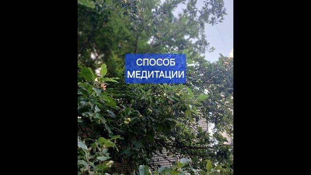 18 августа день силы: как его проаести? 
#нумерология
#деньсилы
#денежныепрактики