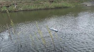 Гоняем на "Заре" в свежий ветер.