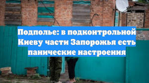 Подполье: в подконтрольной Киеву части Запорожья есть панические настроения