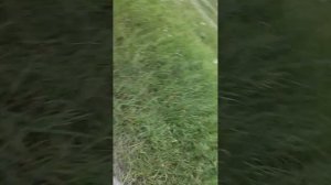 1000033878.mp4