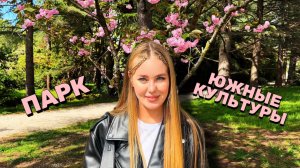 СОЧИ🔥ОБЗОР НА ПАРК ЮЖНЫЕ КУЛЬТУРЫ 👀ОЧЕНЬ КРАСИВОЕ МЕСТО❤️