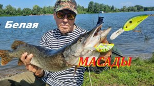 Один в Масадах.Рыбалка на реке Белая.