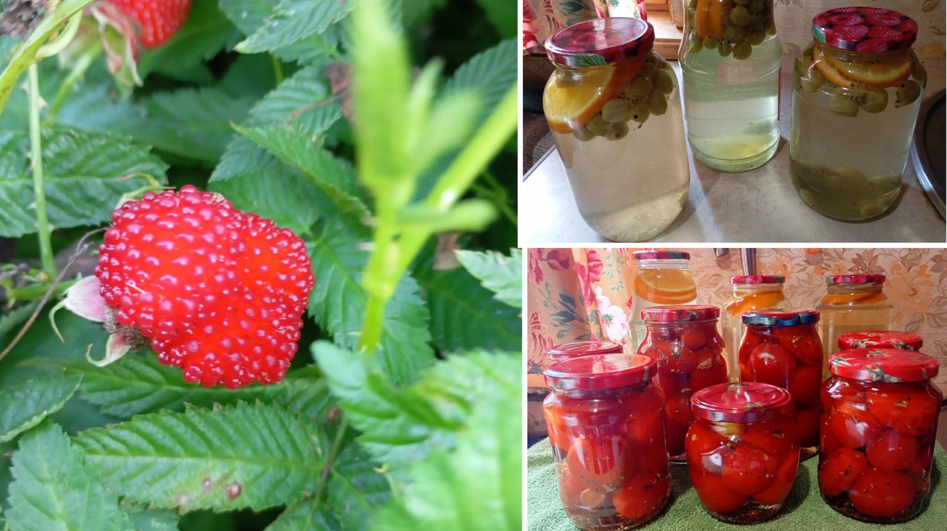 Занимаюсь заготовками смотреть онлайн