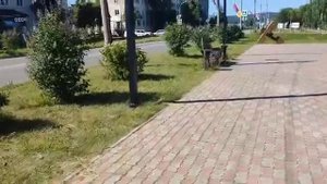 Памятник гренландскому тюленю Григорию в Кандалакше