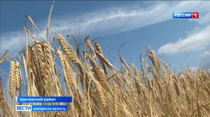 В Кировской области началась уборка зерновых и зернобобовых культур