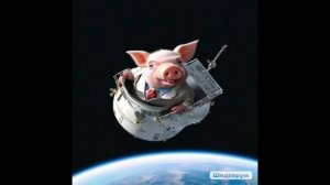 Когда встретила землячку )Почти соседку)Жаль,что немного поздно.История про ВЛАЖИВАНИЯ)