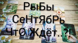 #РЫБЫ #СЕНТЯБРЬ ТАРО-ПРОГНОЗ 😍🥰🥰#ГаданиеНаБудущее #ТароГадание