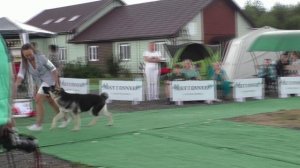 А Северный Ветер Шумкаускене Харт ВЕО