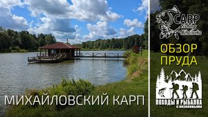 Михаловский карп обзор водоема (Август 2025)