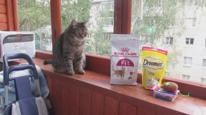 Подарки для Тимы 2.