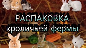 🐰РАСПАКОВКА КРОЛИЧЬЕЙ ФЕРМЫ🐇// шла 2’5 месяца?!// 🌈🤍magic house🌈🤍