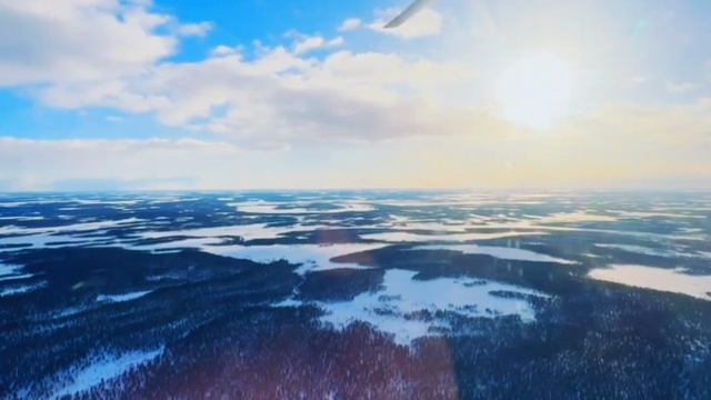 🟦GRIN - Крылатым быть...✈️
