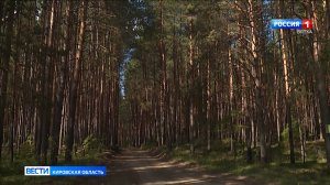 В Кировской области снят особый противопожарный режим