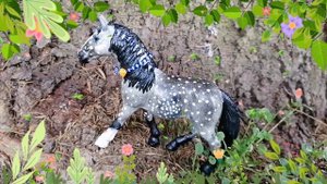 Пиар для канала Лолика love horse