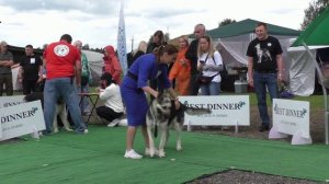 Калужский Витязь Леофан