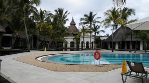 Вид из окна