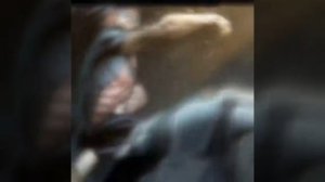 неувязвимый эдит