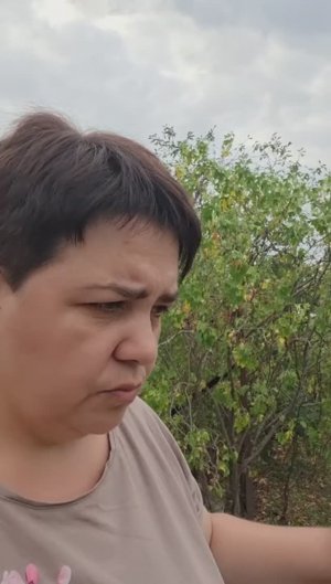 Выбрала помидоры, наш новый житель