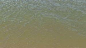 Должанская где остановиться с палкой