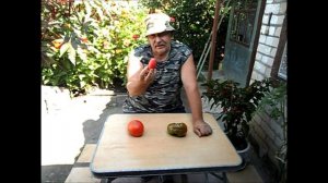 Мои помидоры для открытого грунта 17 августа