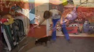 Первые уроки послушания 1 этап. Уроки от Команды Азарт. Уроки от Команды Азарт