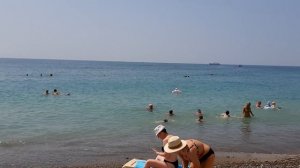 Сочи. Лазаревское. Увидели дельфинов (черноморские афалины) на пляже. 2025