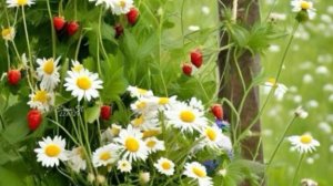 Красивые пожелания доброго и прекрасного дня 🌞  Музыкальная открытка