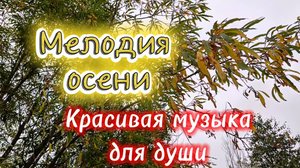 Мелодия осени. Красивая музыка для души.