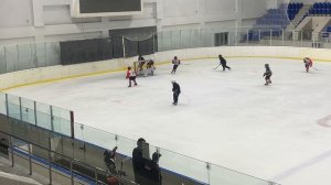 Стрижи 2014 - Tigers 2013 товарищеский матч 16 августа 2025