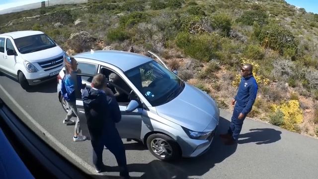 Случаи Вторжения Диких Животных в Дома, Снятые на Камеру смотреть онлайн