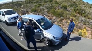 Случаи Вторжения Диких Животных в Дома, Снятые на Камеру