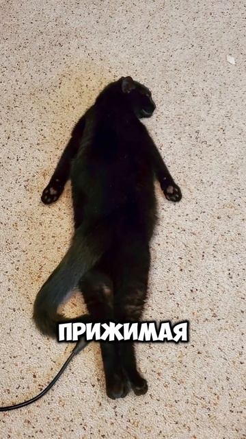 На Рахате смотреть онлайн