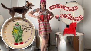 готовлю и знакомлюсь с собачкой