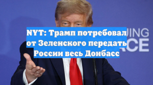 NYT: Трамп потребовал от Зеленского передать России весь Донбасс