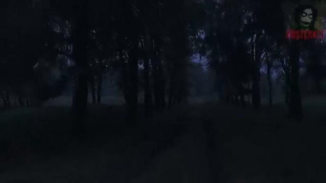 ДРОЗД. Страшные истории на ночь 🫣🫣🫣 смотреть онлайн