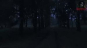 ДРОЗД. Страшные истории на ночь 🫣🫣🫣